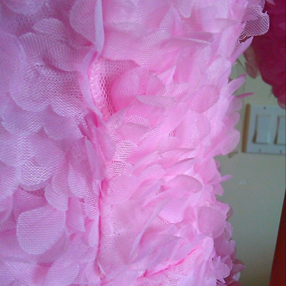 BNWOT DRESSY DRESS BY FAERIESTY SOFT PINK SZ. XL W/ 3D FLOWERS STRAPLESS LINED - Picture 6 of 11